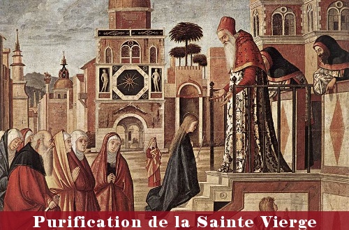 Purification de la BVM