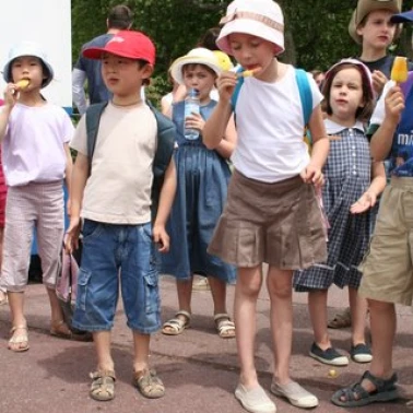 sortie fin annee 2008 sja 138