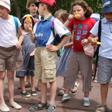 sortie fin annee 2008 sja 139