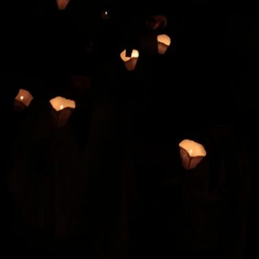 procession 8 decembre 113