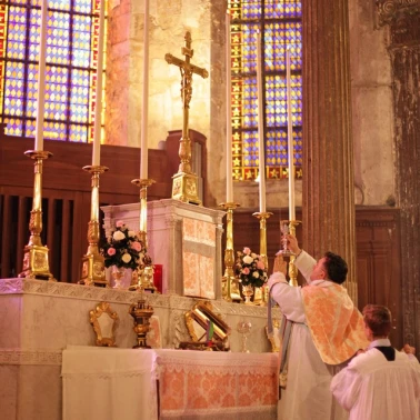 2019-03-31-benediction-rose-or0003
