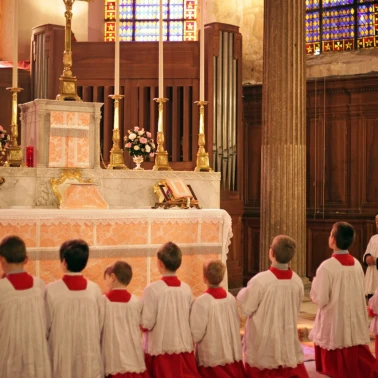 2019-03-31-benediction-rose-or0005