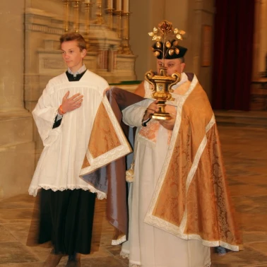 2019-03-31-benediction-rose-or0006