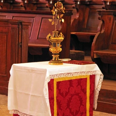 2019-03-31-benediction-rose-or0007