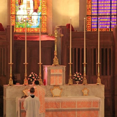 2019-03-31-benediction-rose-or0012
