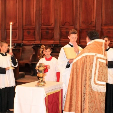 2019-03-31-benediction-rose-or0014