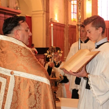 2019-03-31-benediction-rose-or0015