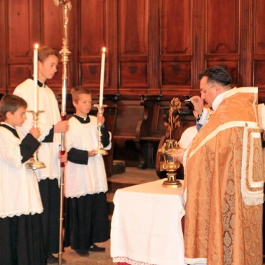 2019-03-31-benediction-rose-or0016