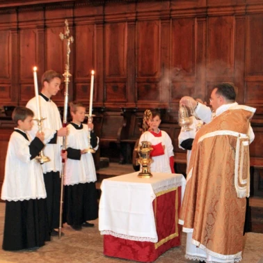 2019-03-31-benediction-rose-or0018