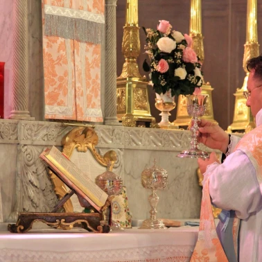 2019-03-31-benediction-rose-or0019