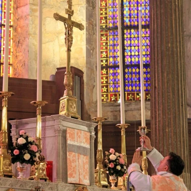 2019-03-31-benediction-rose-or0020