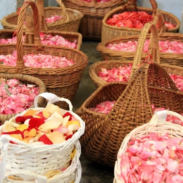 2019-06-23-Fete-Dieu-0037