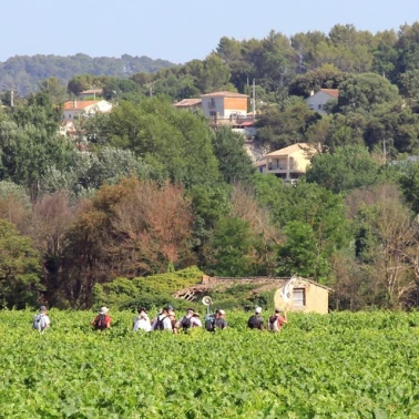 2019-07-04-05-06-pelerinage-homme-cotignac-0036