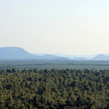 2019-07-04-05-06-pelerinage-homme-cotignac-0012