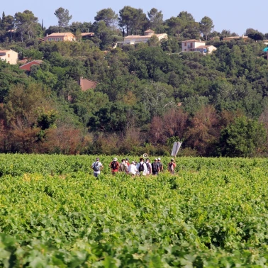 2019-07-04-05-06-pelerinage-homme-cotignac-0035