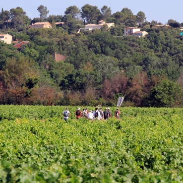2019-07-04-05-06-pelerinage-homme-cotignac