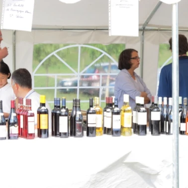 2010 06 18 kermesse (139)